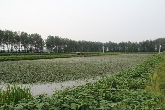 奔驰GLC拖着量子拖挂房车去潇洒自在