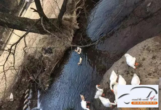 营地房车厂家都市生活以外的第二种生活方式