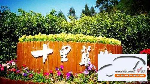 全国营地景区政府立项规划上海环球房车网