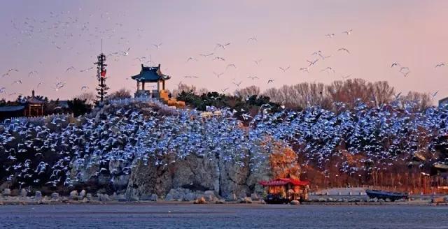 最美三省旅游路线景区房车 拖挂式营地专用